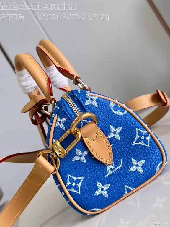 LOUIS SPEEDY VUITTON 18 0420